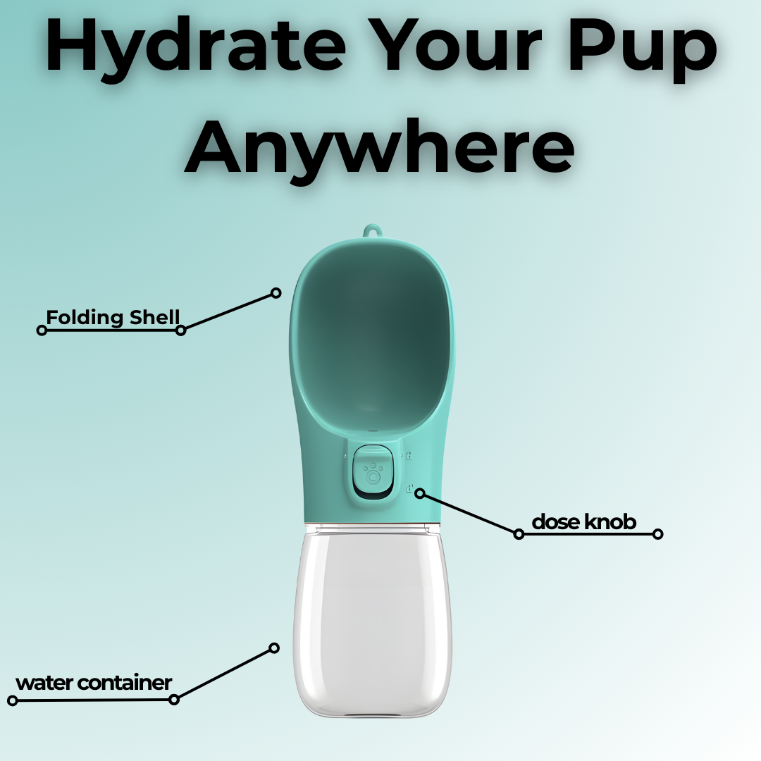 Portable Dog Water Bottle